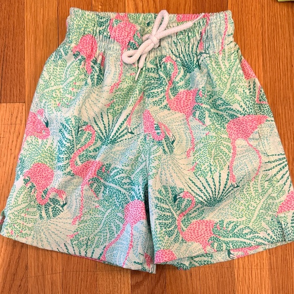 Kenny Flowers Toddler Boy Tropical Flamingo Swim Trunks - Picture 1 of 3